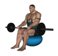 Calf Raise - Fitness Ball Barbell